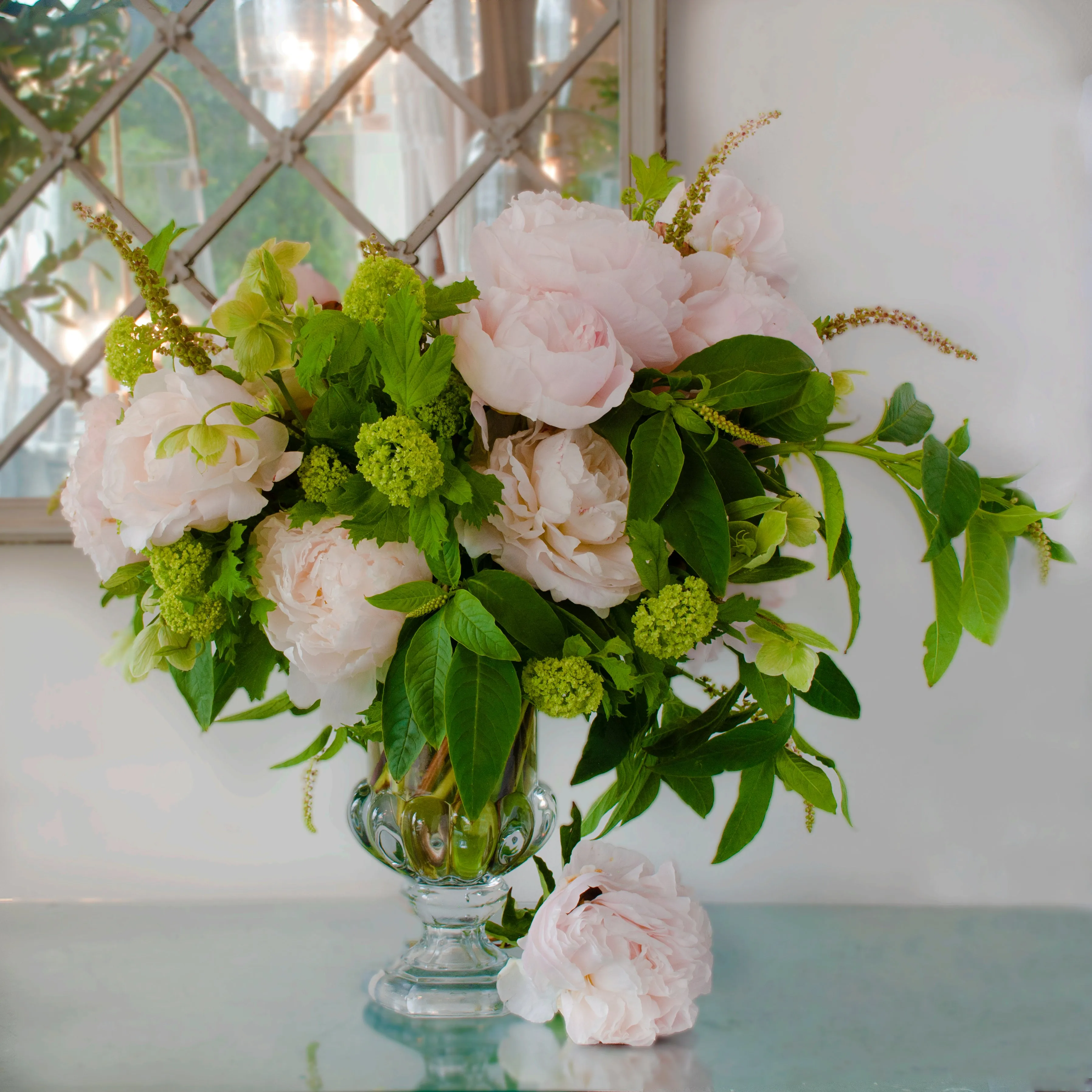 Blushing Peony Delight