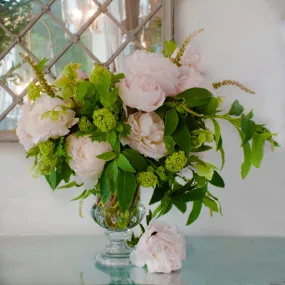Blushing Peony Delight