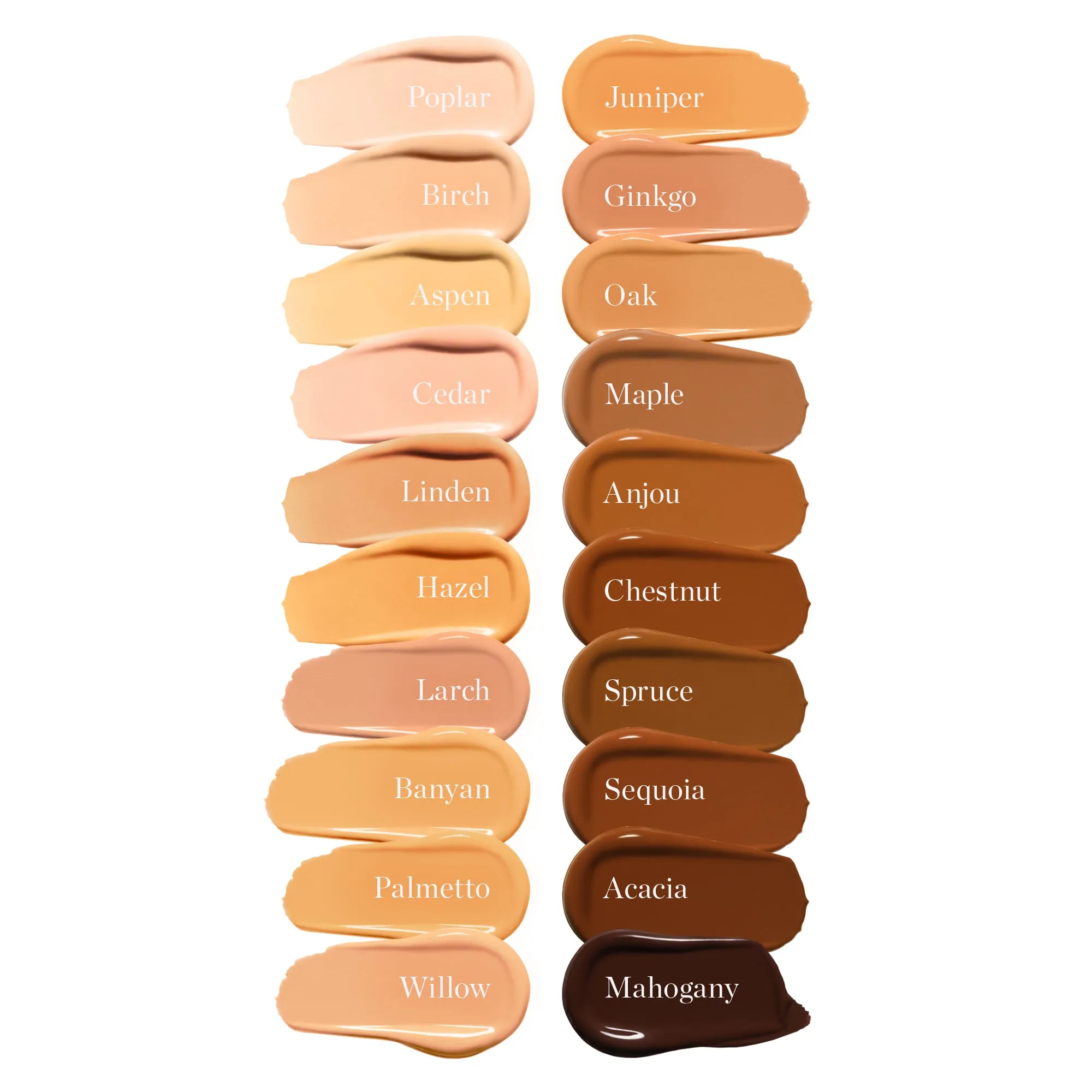 Complexion Perfecting Tinted Serum