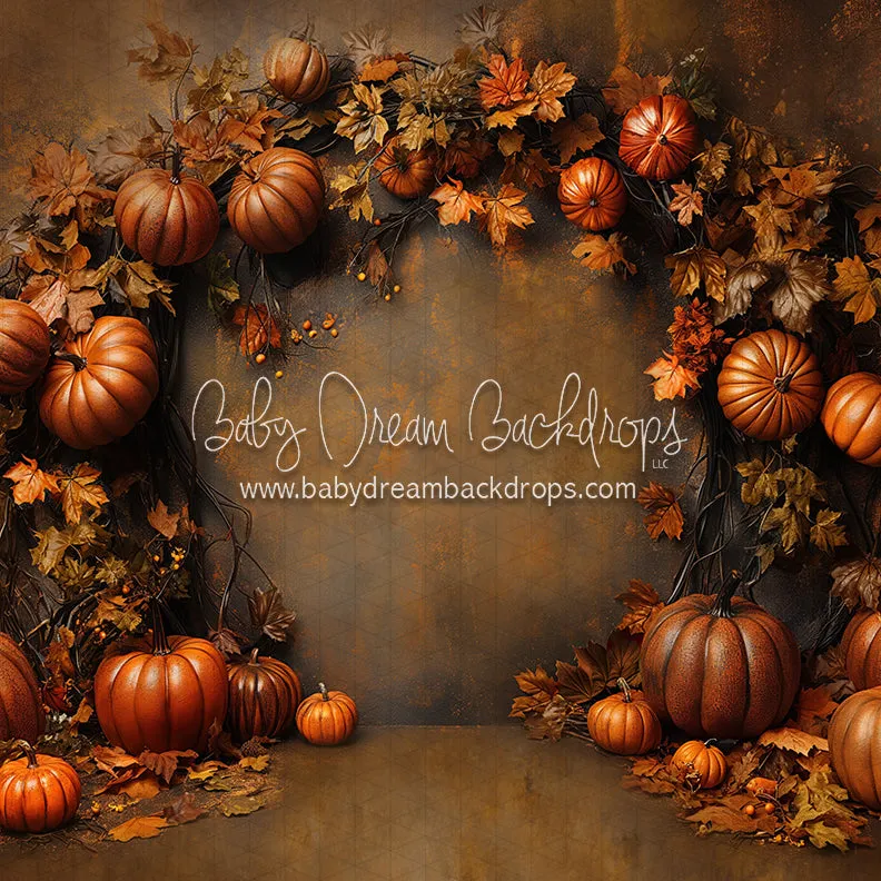 Nova Organic October (CC)