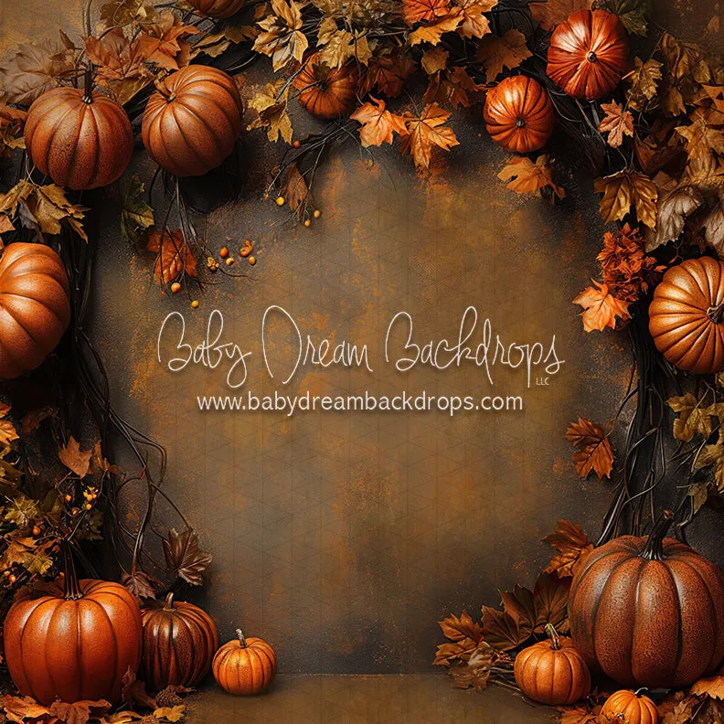 Nova Organic October (CC)