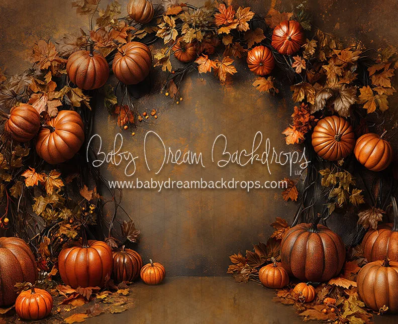 Nova Organic October (CC)