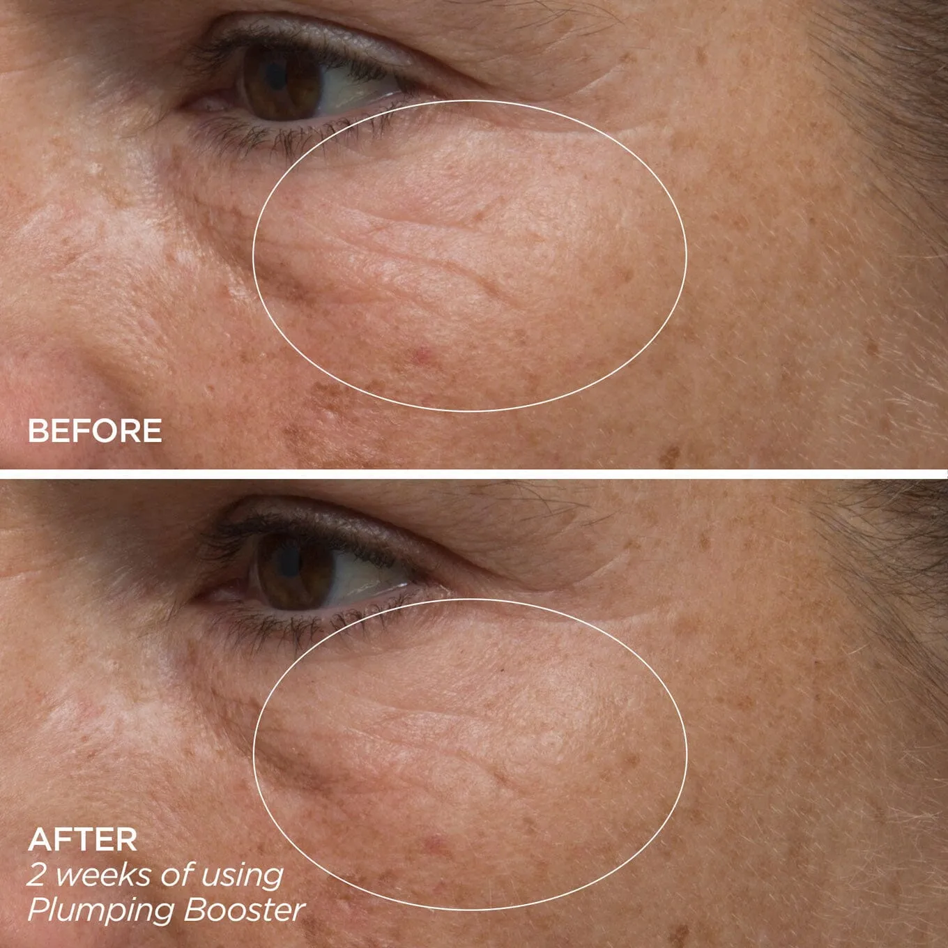 Plumping Booster